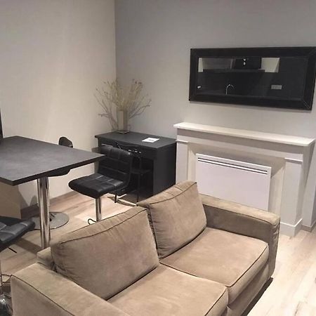 Appartement Touristique, Proche De La Cathedrale 阿尔比 外观 照片
