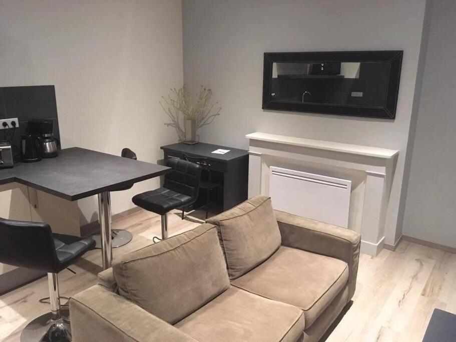 Appartement Touristique, Proche De La Cathedrale 阿尔比 外观 照片