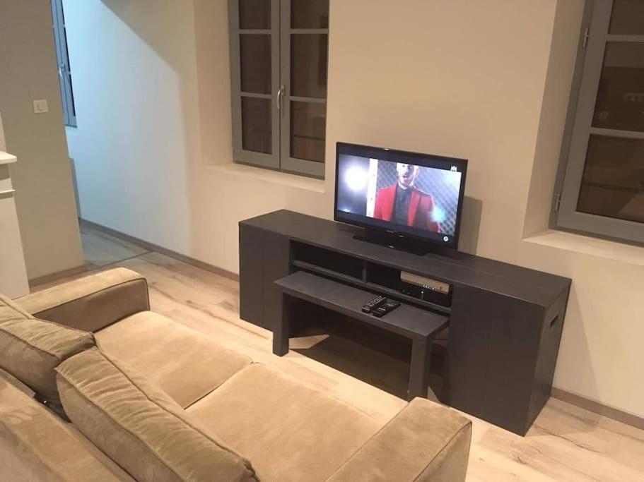 Appartement Touristique, Proche De La Cathedrale 阿尔比 外观 照片