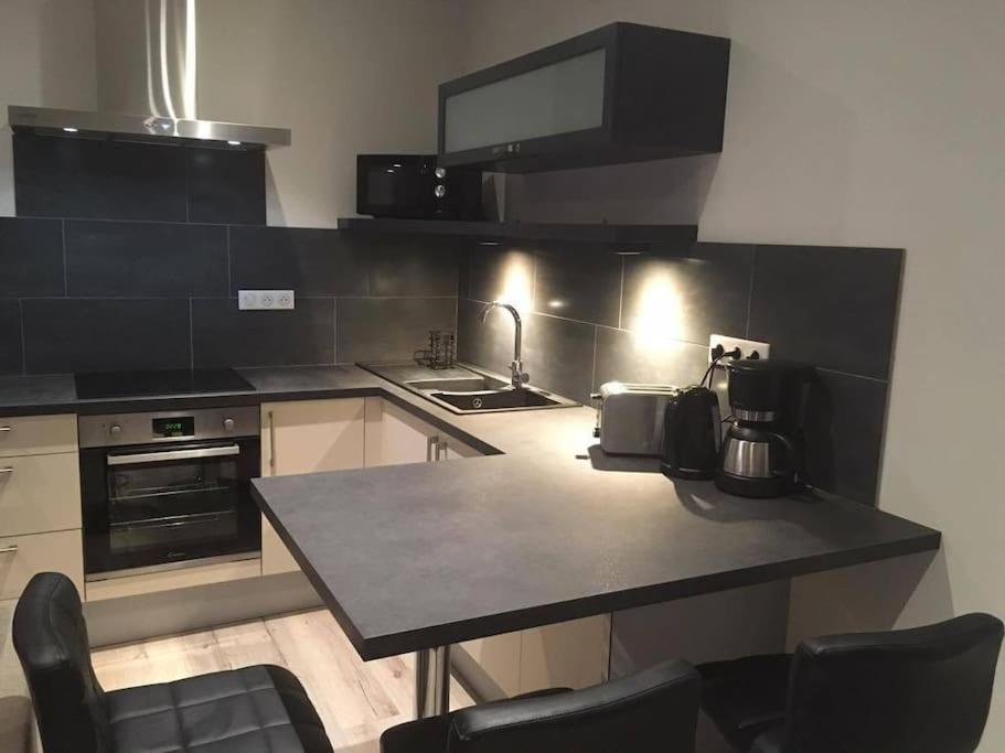 Appartement Touristique, Proche De La Cathedrale 阿尔比 外观 照片