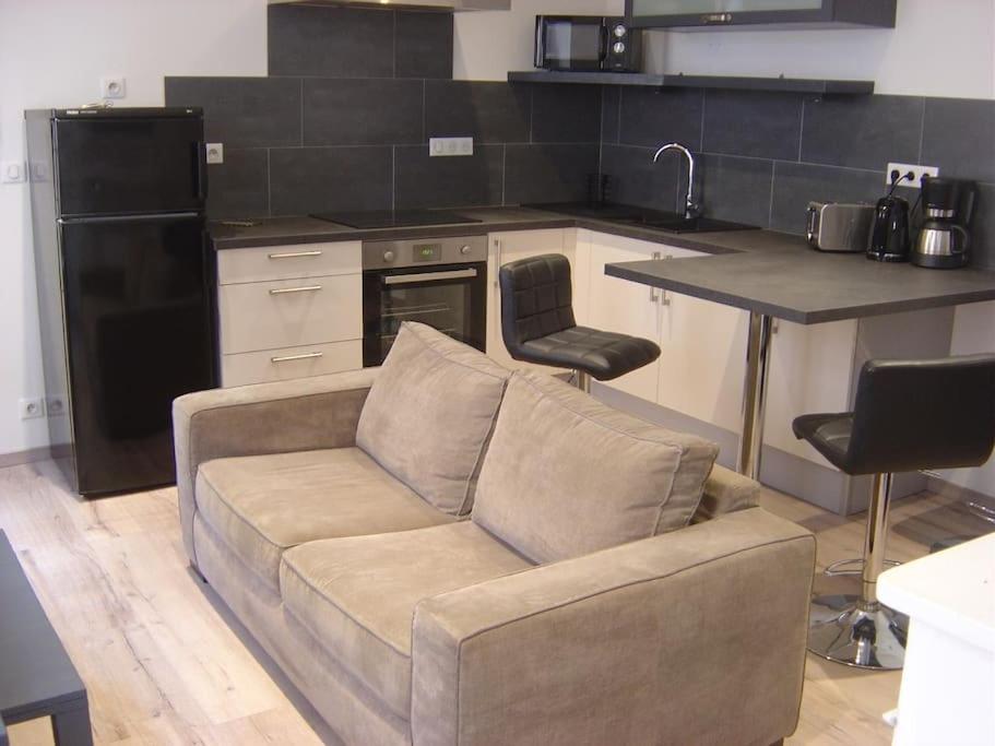 Appartement Touristique, Proche De La Cathedrale 阿尔比 外观 照片